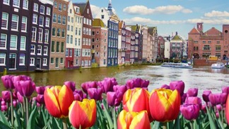 Flores na Holanda
