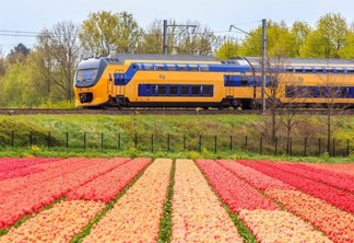 Viagem de trem de Amsterdã a Leiden