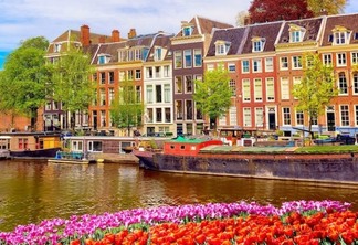 Flores na primavera em Amsterdã