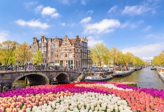 Como ver tulipas em Amsterdã