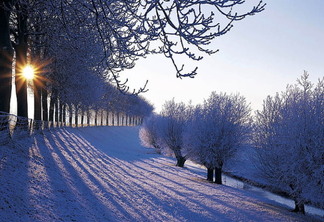 Neve durante o inverno na Holanda