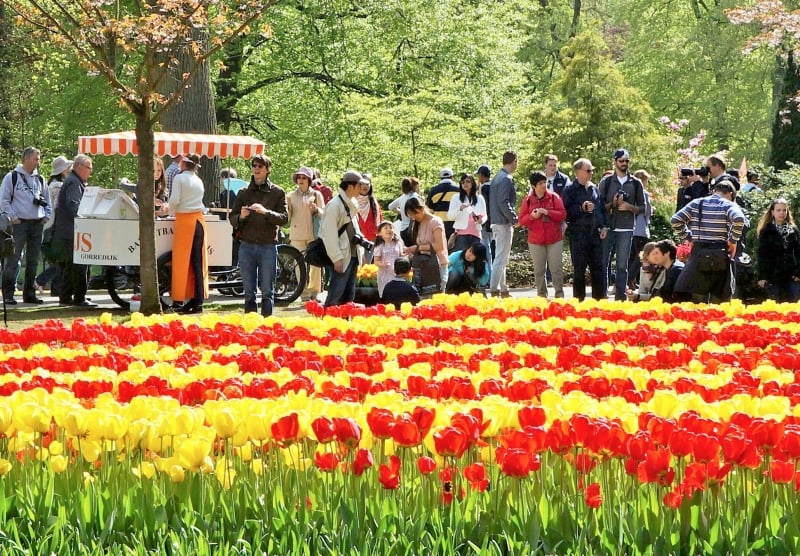 Informações sobre o Jardim de flores Keukenhof em Amsterdã