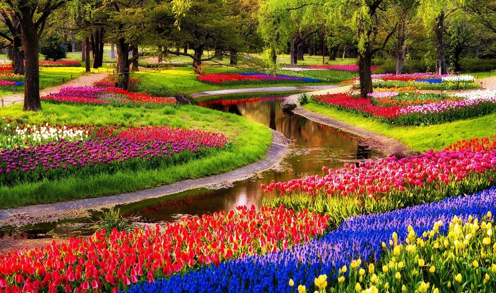 Jardim de flores Keukenhof em Amsterdã