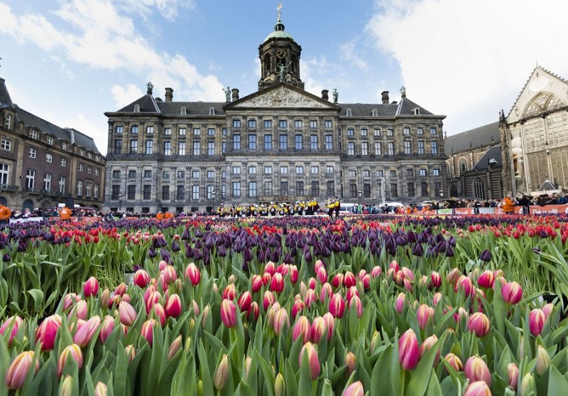 Evento National Tulip Day em frente ao Palácio Real de Amsterdã