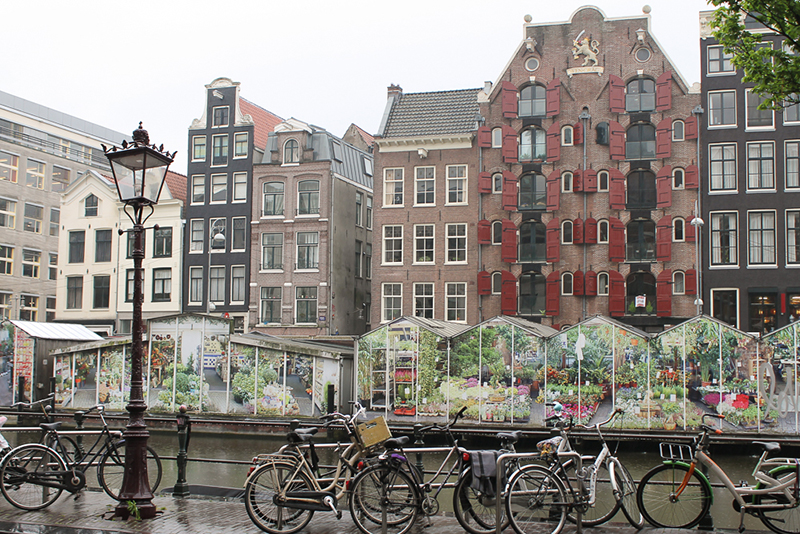 O que fazer em Amsterdã com chuva