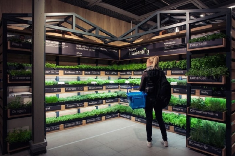 Produtos orgânicos no supermercado Albert Heijn em Amsterdã