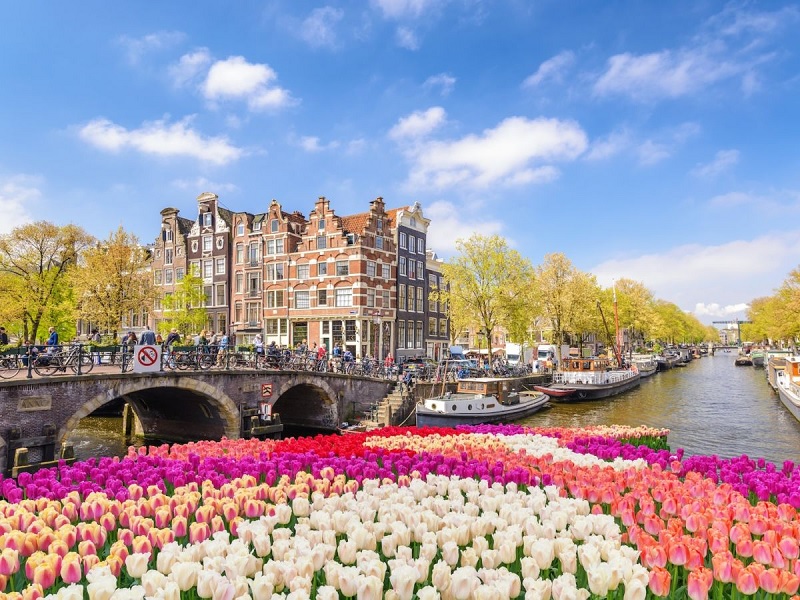 Flores em Amsterdã