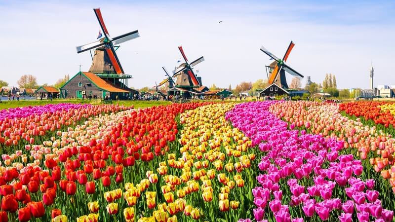 Primavera na Holanda