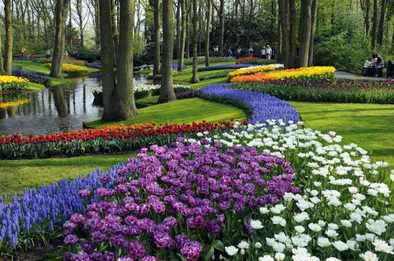 Jardim de Keukenhof em Amsterdã