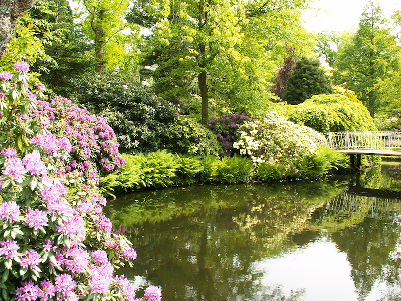 Trompenburg Gardens & Arboretum em Roterdã