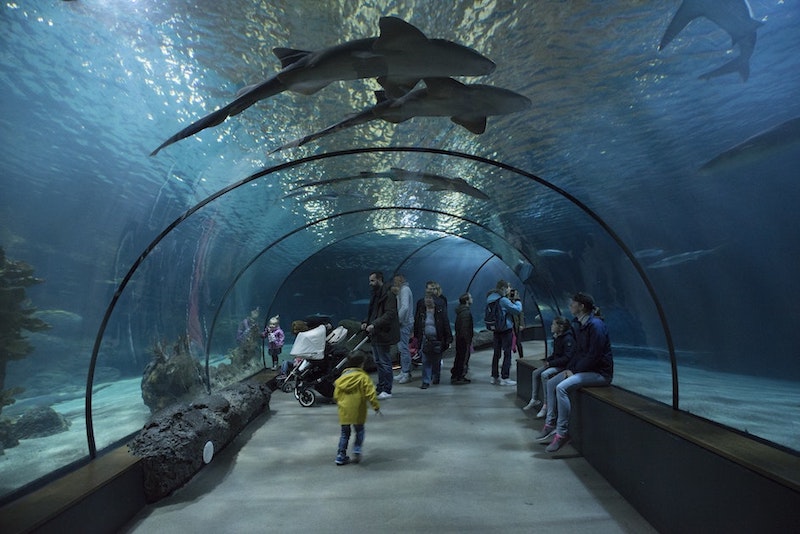 Oceanium do Zoo de Roterdã