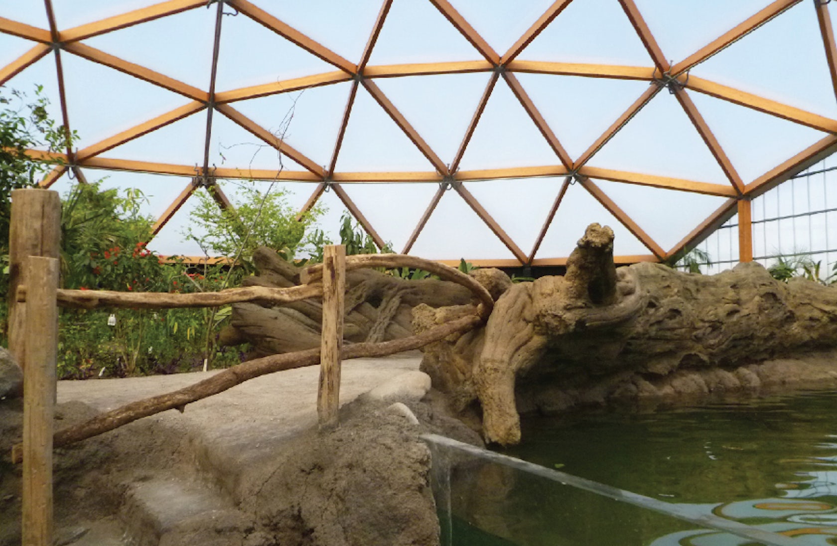 Zona exótica do Zoo de Roterdã