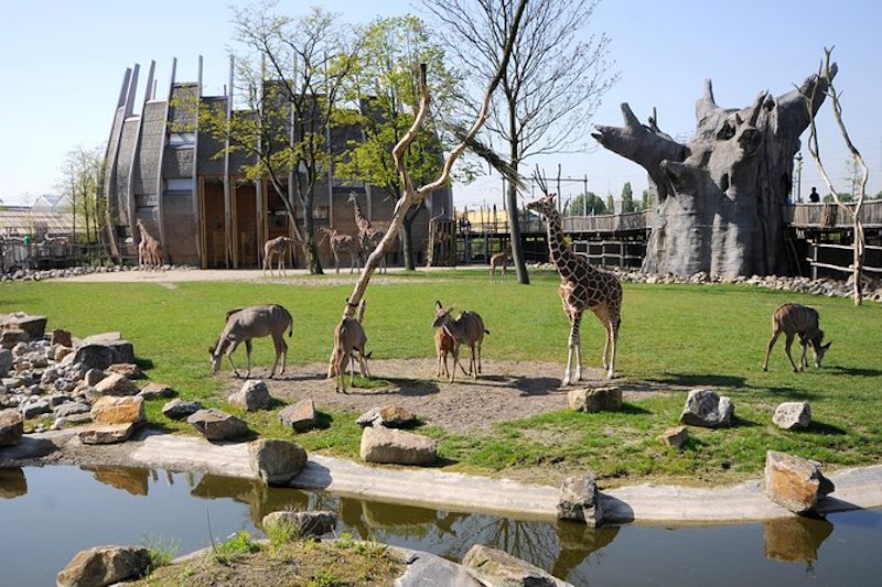 Zoo de Roterdã